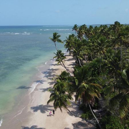 Hotel Pousada Boutique Coco Bambu Morere Exteriér fotografie