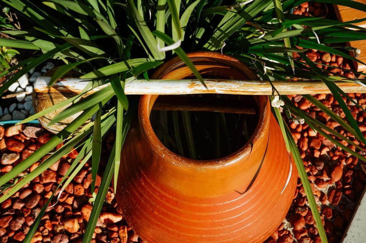 Hotel Pousada Boutique Coco Bambu Morere Exteriér fotografie