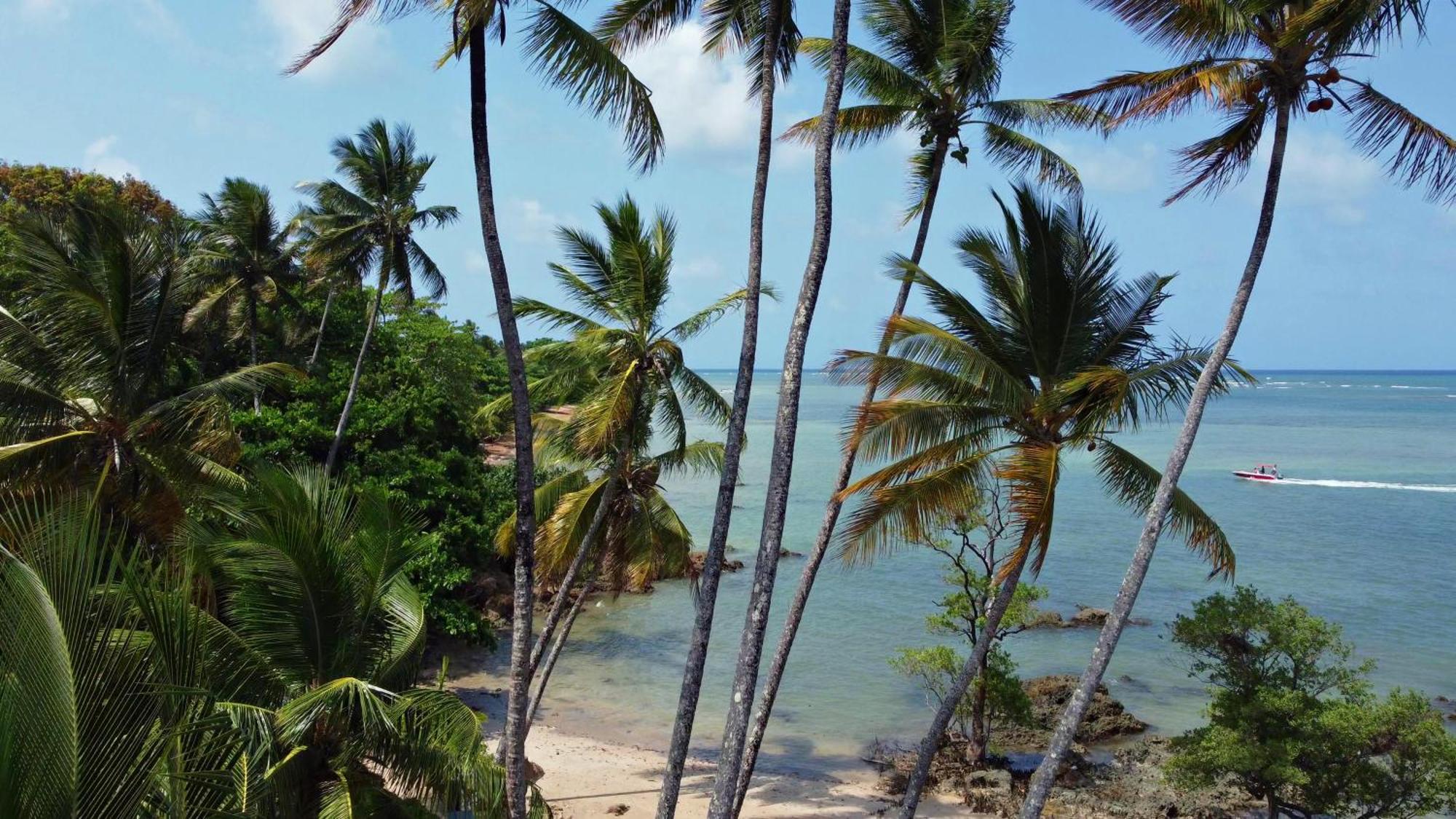 Hotel Pousada Boutique Coco Bambu Morere Exteriér fotografie